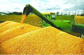 美国对华大豆出口销售总量同比减少10.8%
