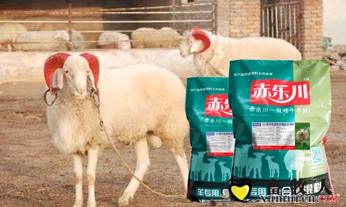 母羊料