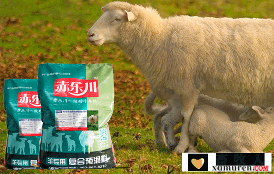 母羊专用预混料