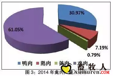 图3.png