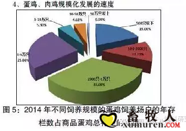 图5.png