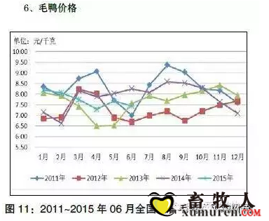 图11.png
