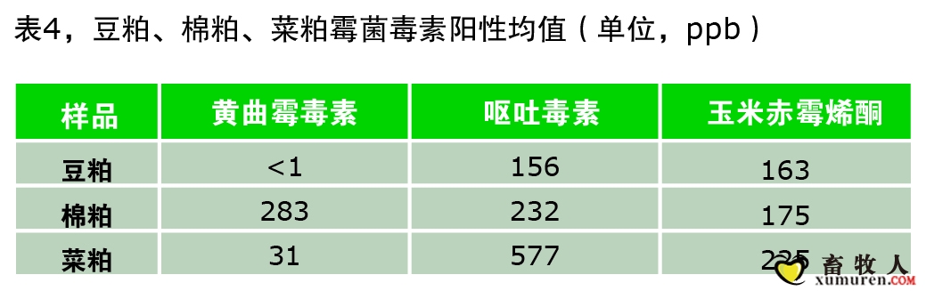 表4.jpg