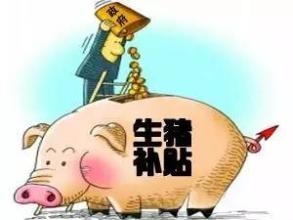 2016养猪补贴开始申报，最高补助达80万