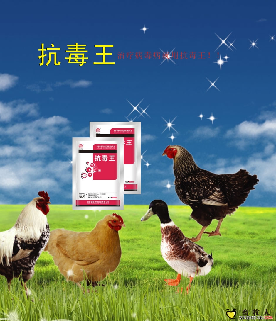 抗毒王.jpg