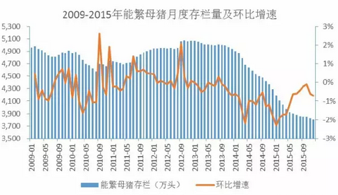 数字背后：2015年我国生猪出栏70825万头意味着什么？