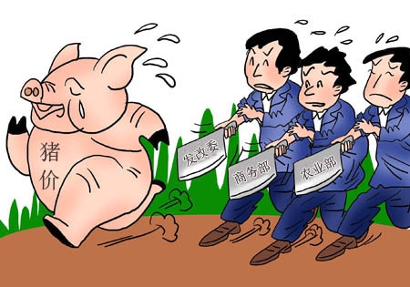 此番猪价大涨 政府到底会不会出手调控？