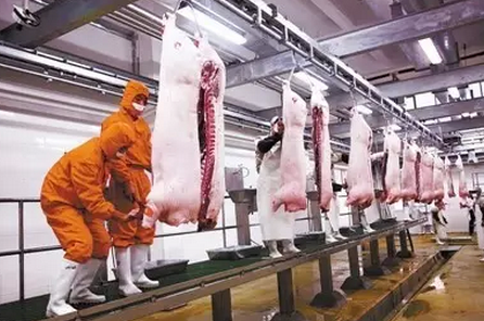 饲料、养猪、收购、屠宰…… 到底谁赚得多？