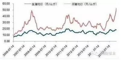 “千元仔猪”出现的3个原因，“罪魁祸首”竟是它？