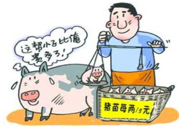 小猪淡季为何“牛气冲天”