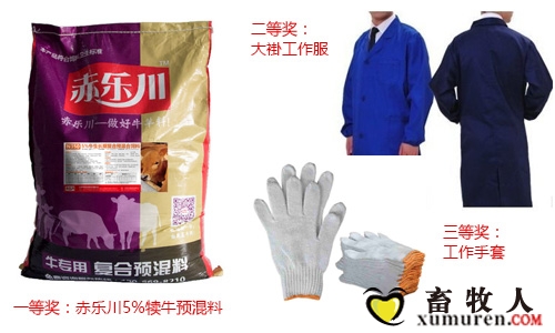 图3：奖品.jpg