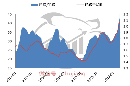 2016年首次“冲十”失败！本周猪价何去何从？