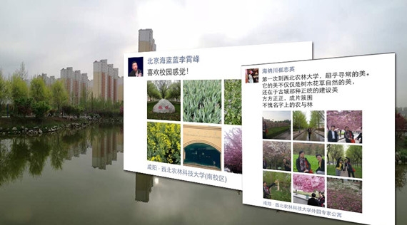 西北农林校园_副本.jpg