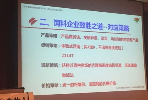 陈3_副本.jpg