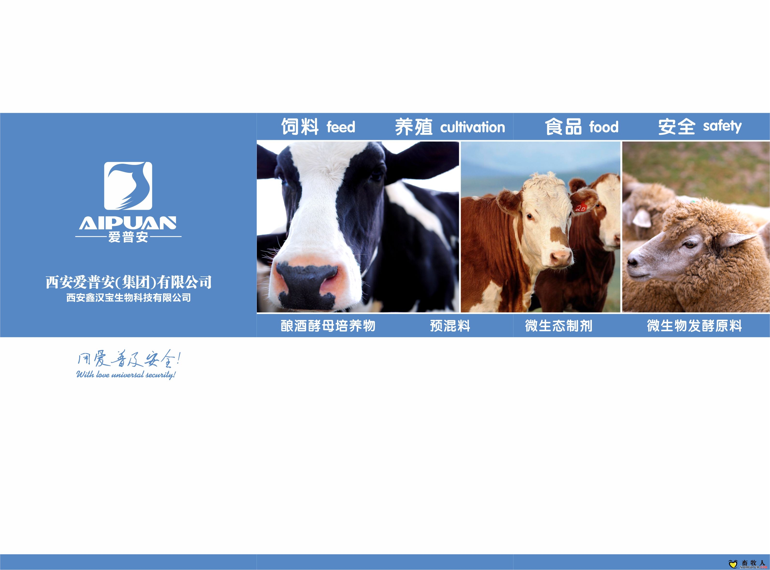 展板1.jpg