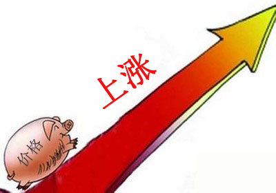 猪源是有多紧张？跟着央视看一个猪贩的艰难收猪路