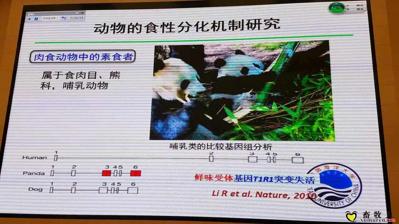 麦3.jpg