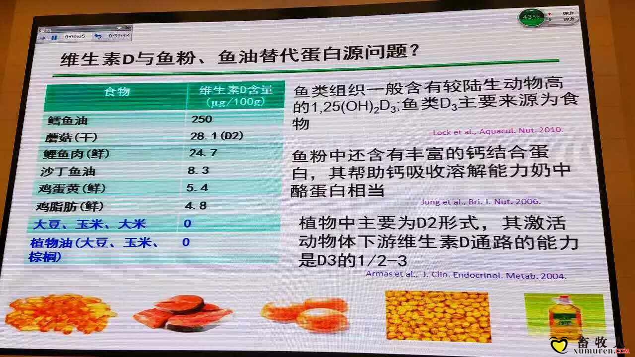 买17.jpg