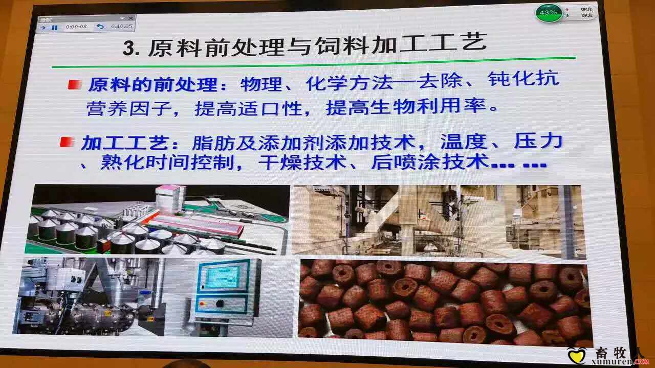 买18.jpg