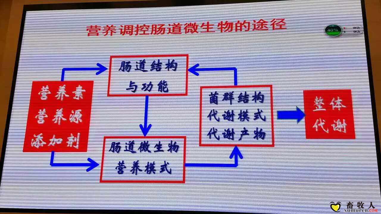 买25.jpg