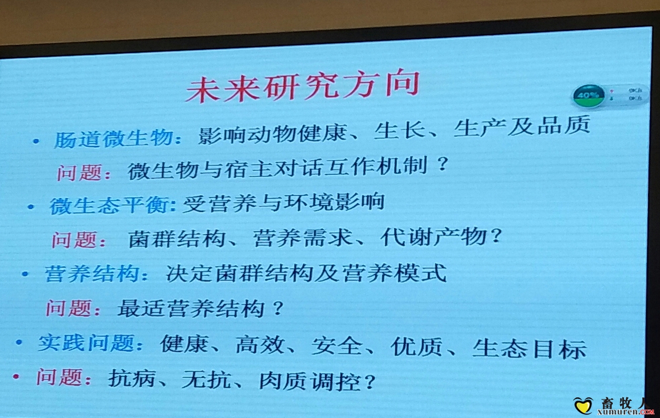 买36.jpg