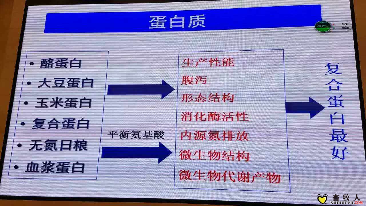 买27.jpg
