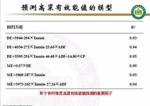 李10.webp.jpg