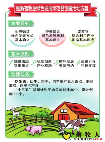 绿色县城.png