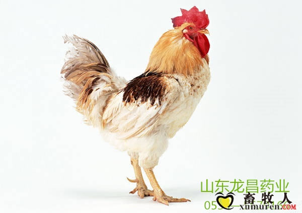 52d42c9beba529e537910085e01cbf62_副本.jpg