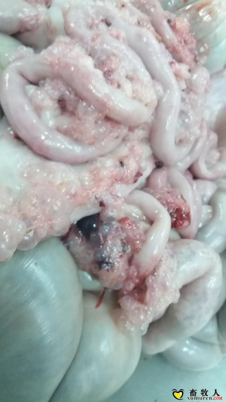 有气泡膜