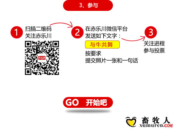 牛4.png