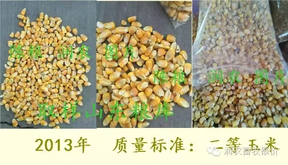 新鲜玉米与陈玉米质量区别