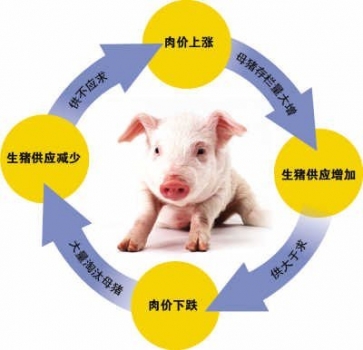 猪周期：供给侧改革背景下 上去的迟早要下来