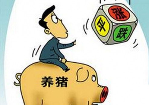 央视：6月了，猪价还能继续涨吗？