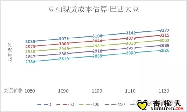 豆2.webp.jpg