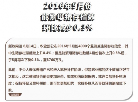 能繁母猪存栏数未升反降至3760万头，高猪价或能维持更久