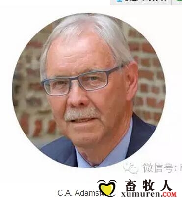 老外.jpg
