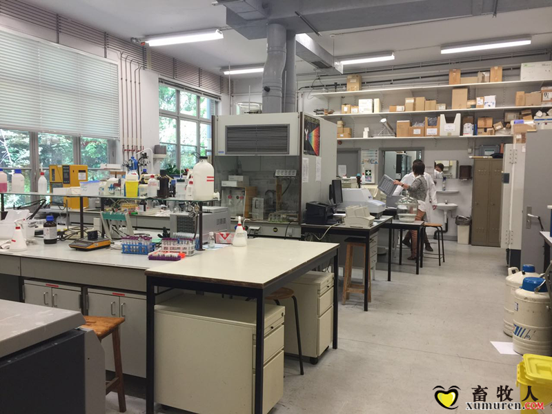 鲁汶大学实验室