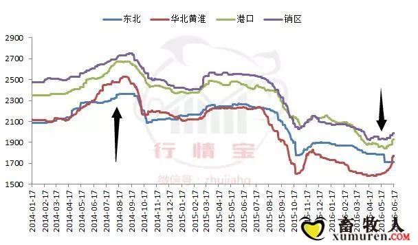 玉米1.jpg