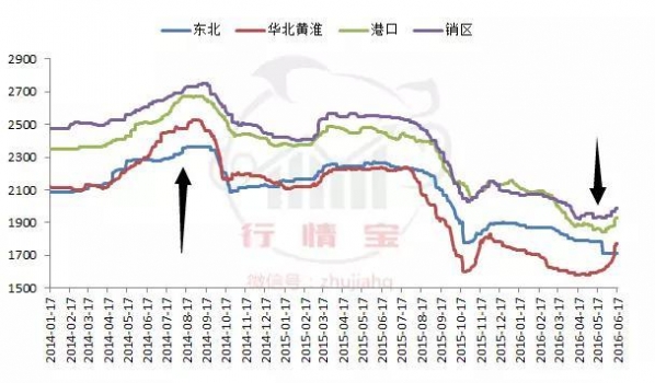 玉米还能涨多久？真不是农民说了算！