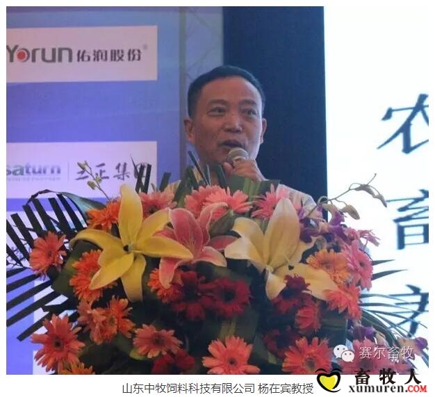 杨在宾教授.jpg