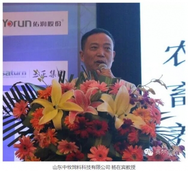 杨在宾教授---猪常规营养素认识与其功能性的再认识