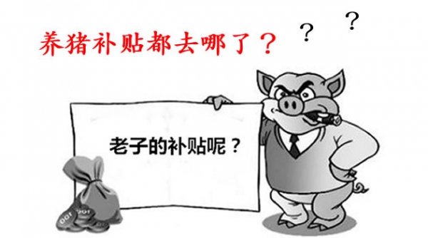 养猪补贴被谁领了？