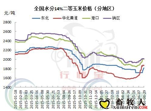 玉米1.jpeg