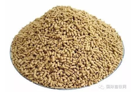 欧盟批准两种里氏木霉产酶作为猪饲料添加剂