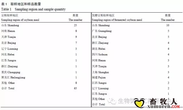 豆1.webp.jpg
