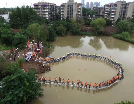 洪水冲走上万头猪：湖北这次损失有点大