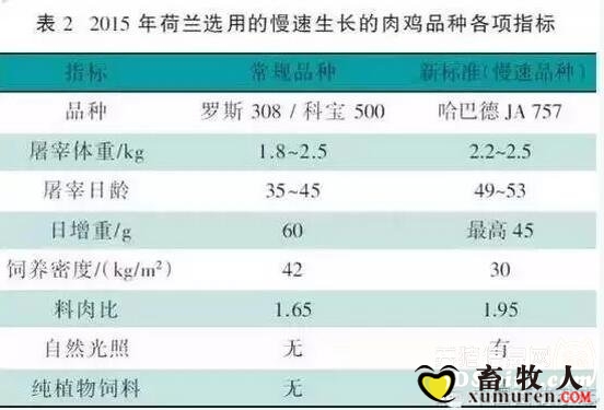 抗5.jpg