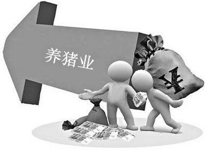 7月猪价分析：暴雨之下猪价的利好利空
