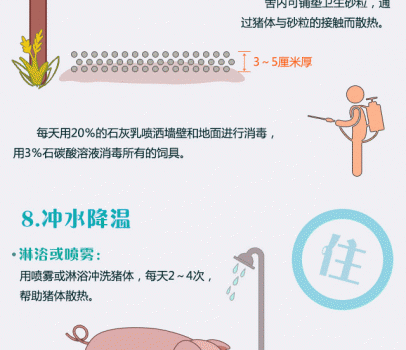 1468209116789_09.gif